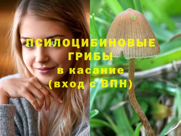 apvp Михайловка