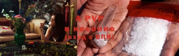 амф Надым