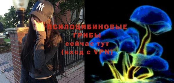амф Надым
